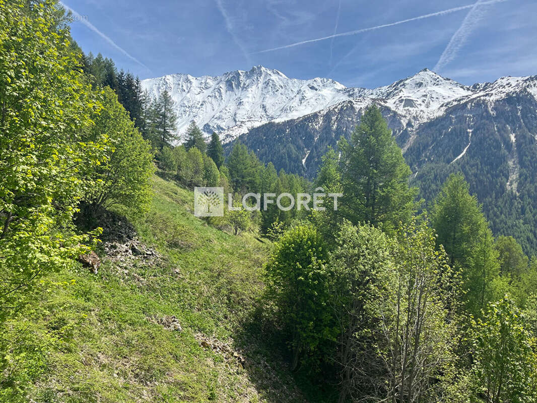 73210 Peisey-Nancroix Chalet T5 skis aux pieds avec vue exceptionnelle - photo 9