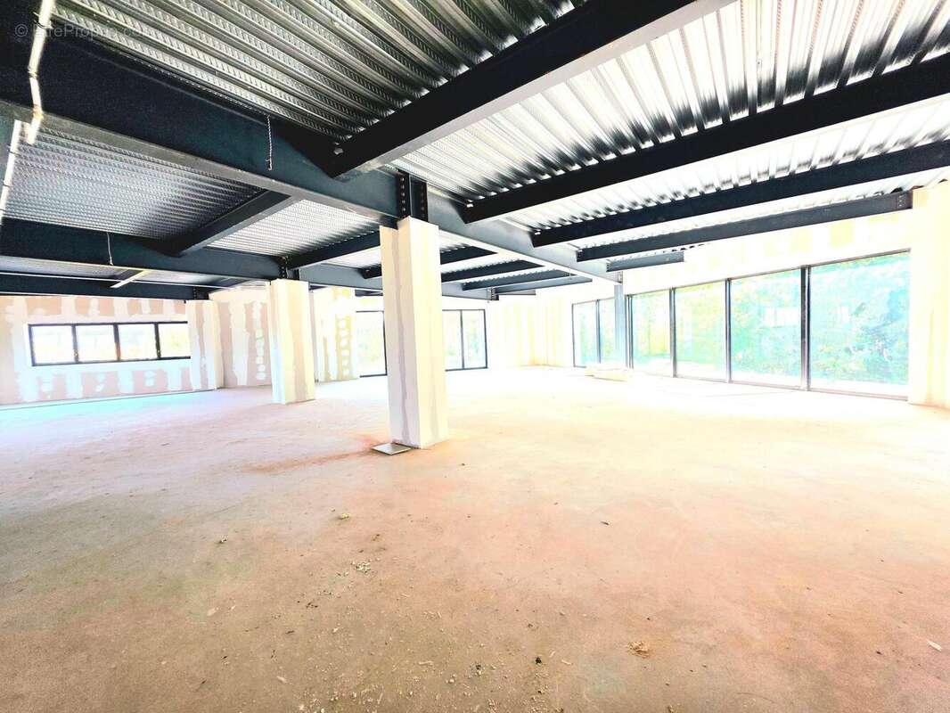 Commerce 2500 m² à Bussy-Saint-Georges  - photo 4