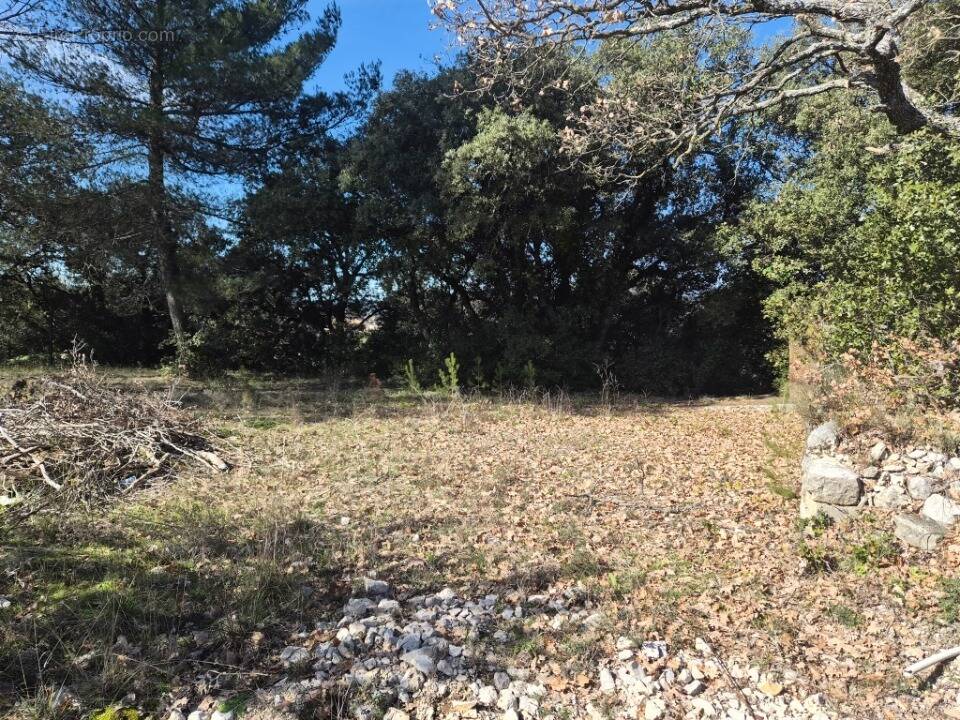 Terrain à LA BASTIDE-DES-JOURDANS