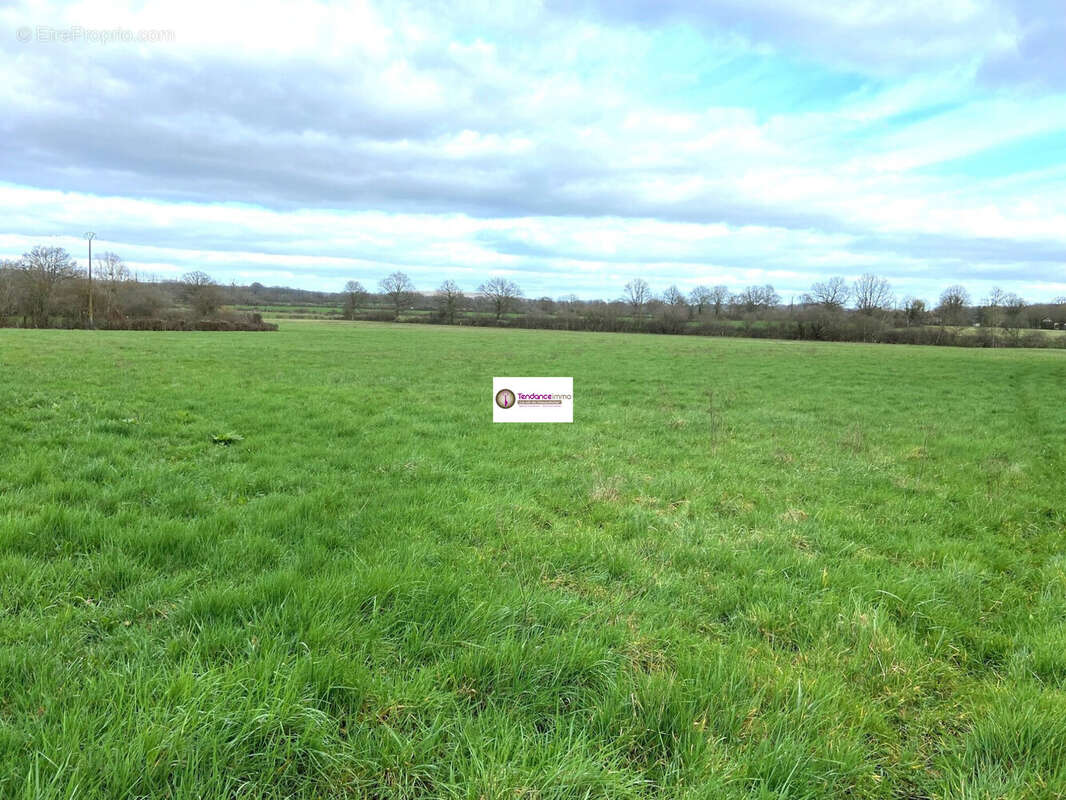Terrain à LE MELE-SUR-SARTHE