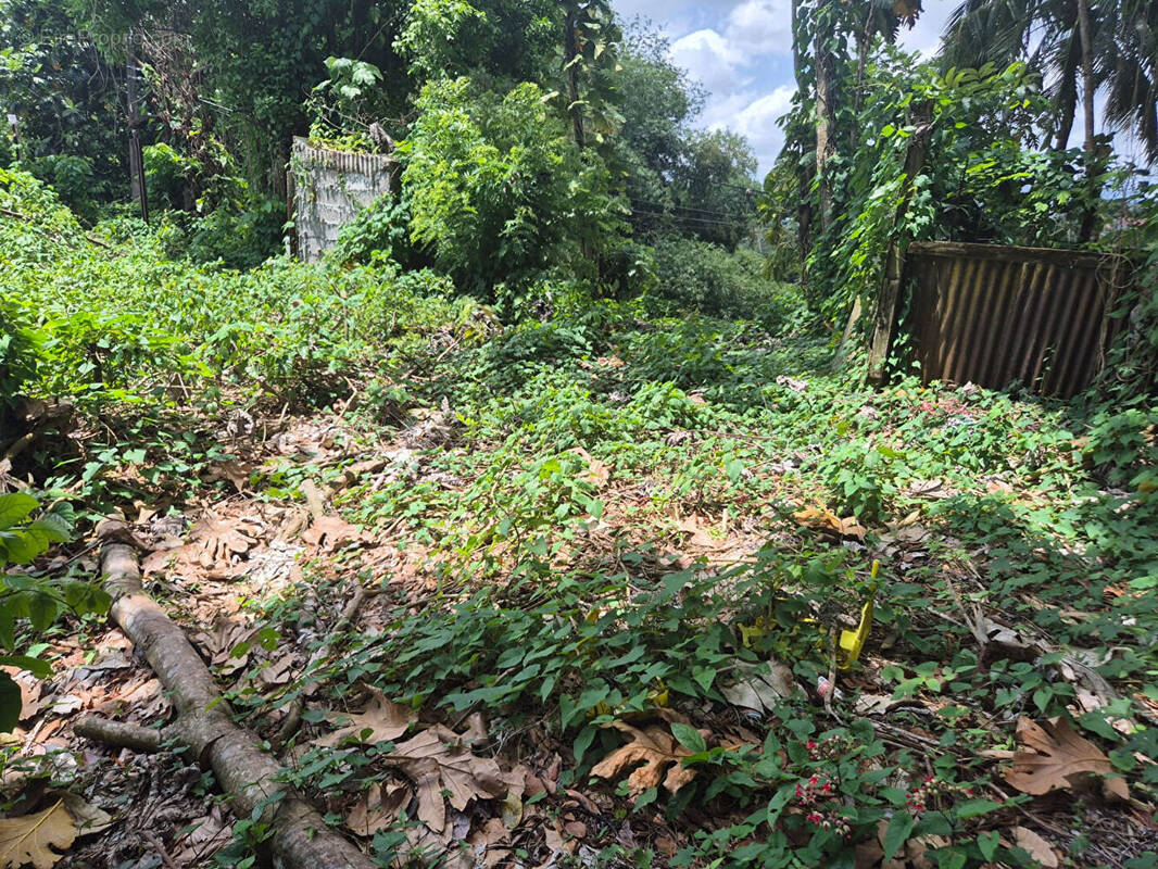 Terrain à LE LAMENTIN