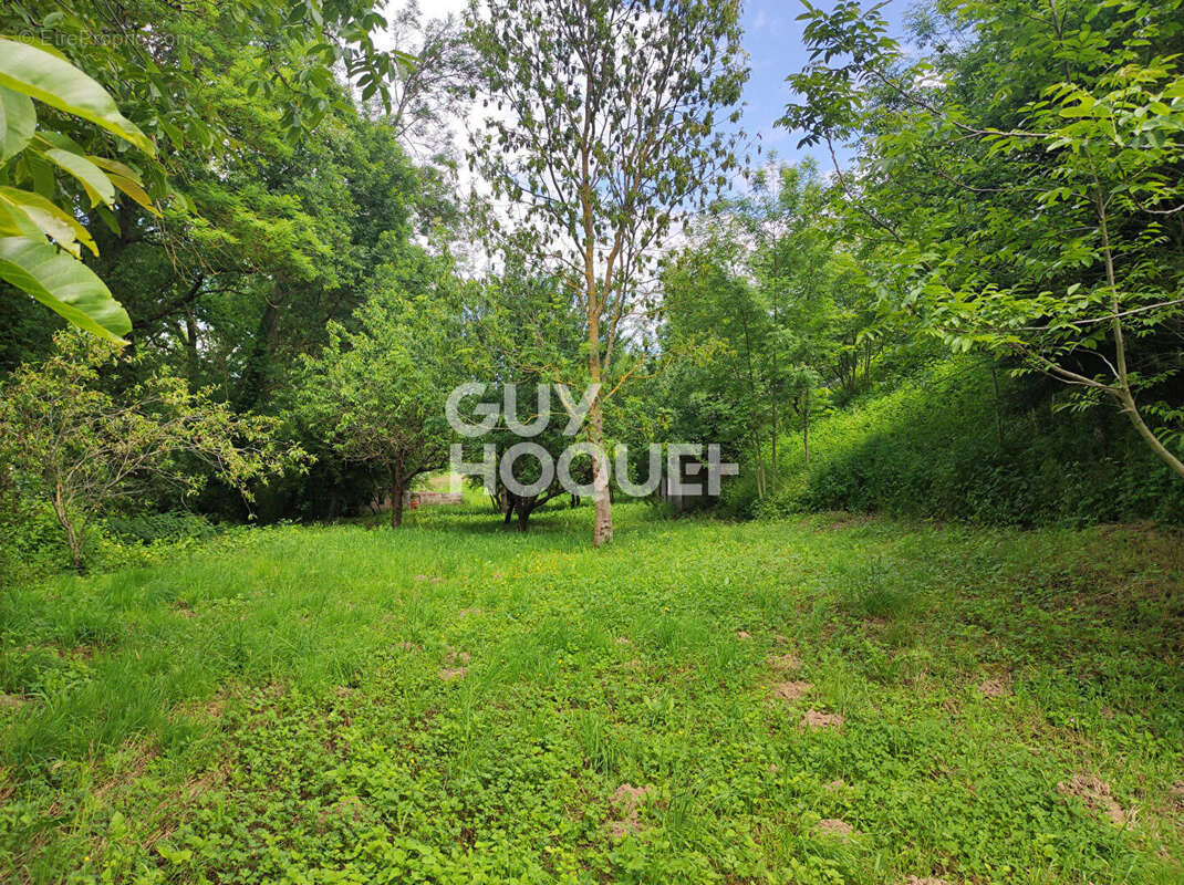 Maison à BUSSY-ALBIEUX