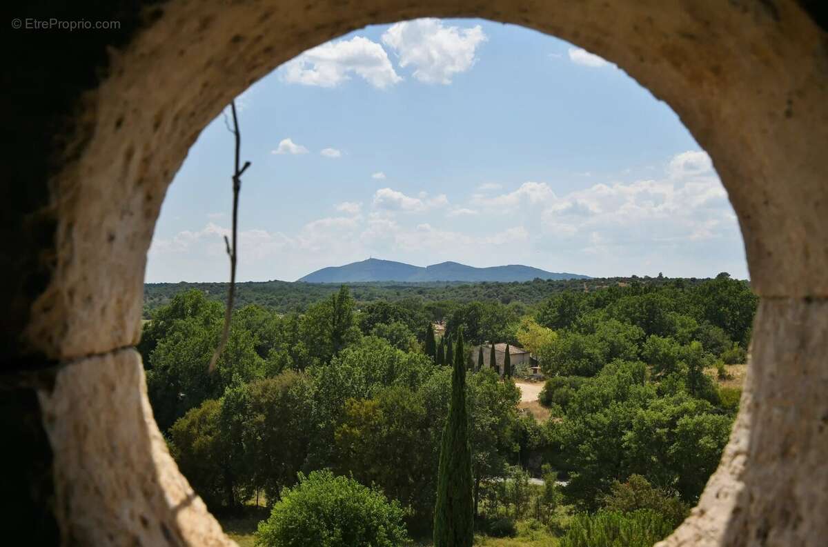 Mas de caractère dans l'un des Plus Beaux Villages de France - photo 18