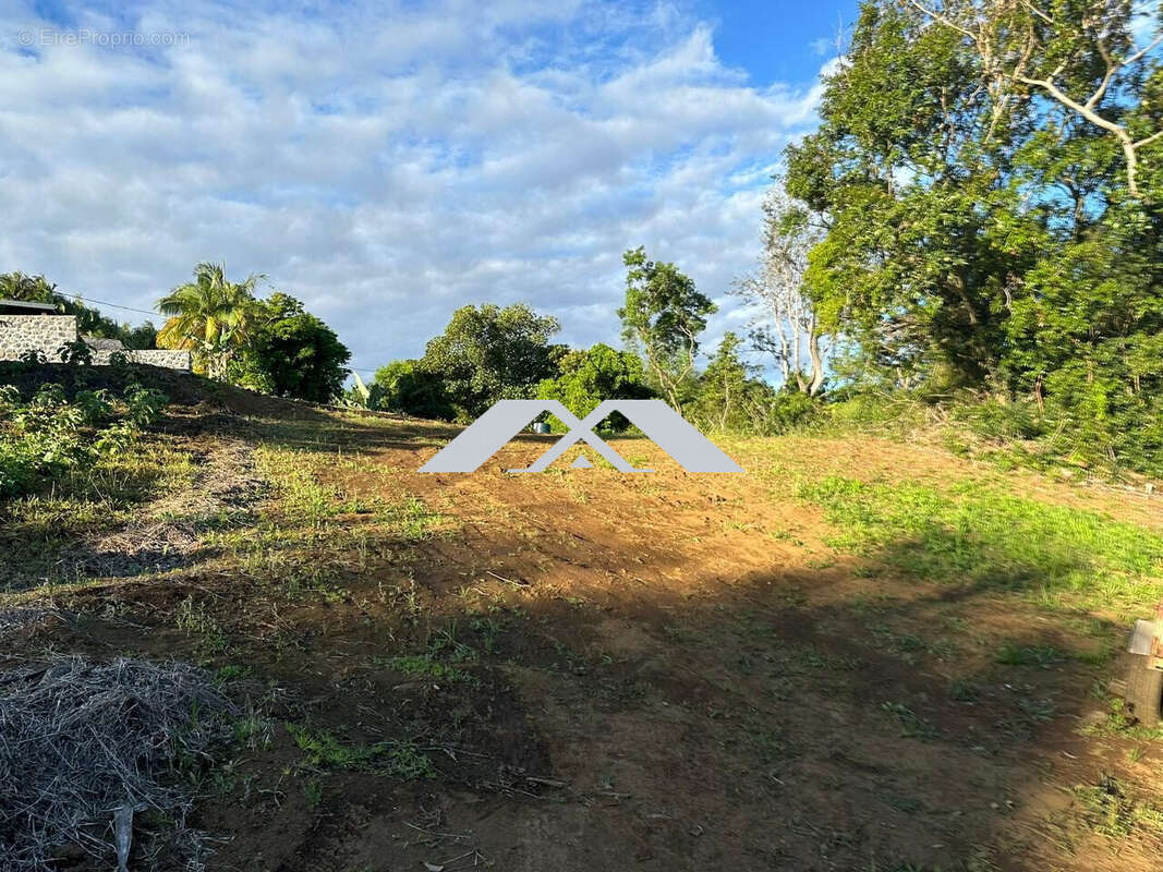 Terrain à SAINT-JOSEPH