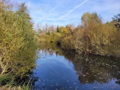 Terrain à STRASBOURG