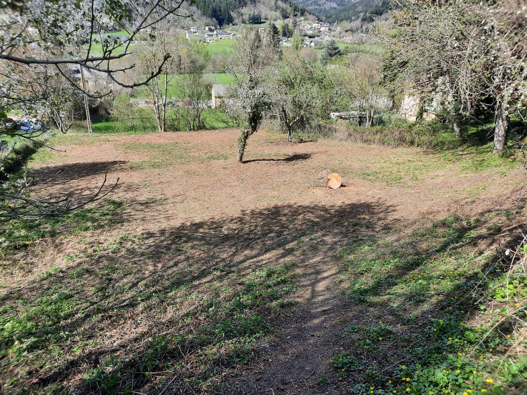Terrain à SAINT-JEAN-DU-BRUEL