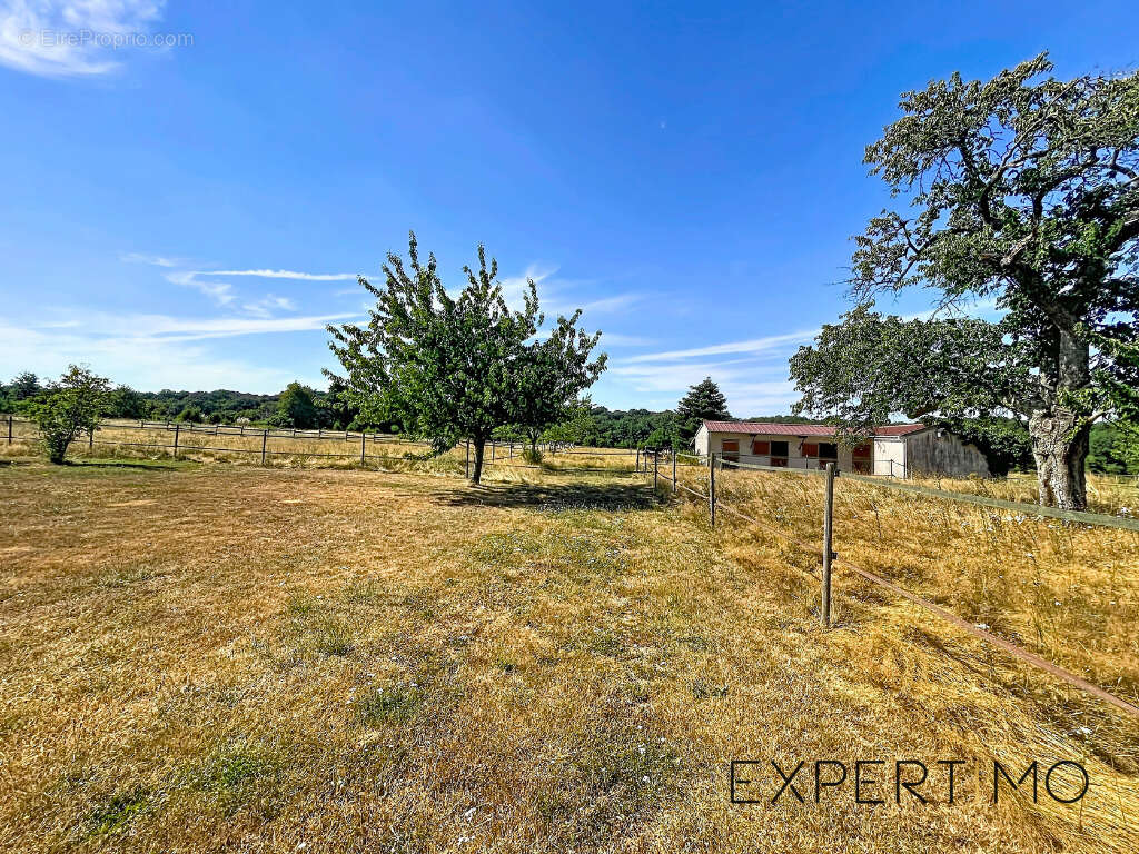 28270 - la manceliere - propriete equestre - maison 155 m2 - 4 chambres - 2,1 ha de terrain - photo 7