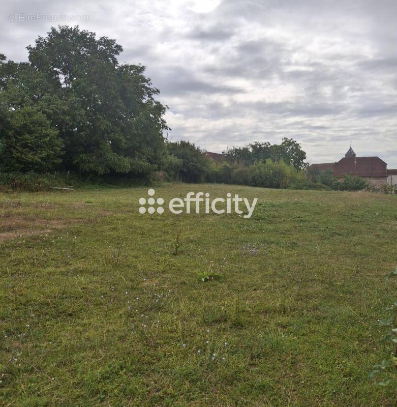 Terrain à MONTBOZON