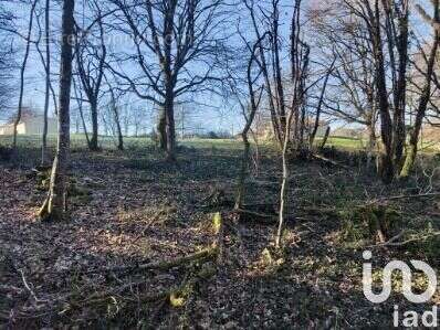 Photo 3 - Terrain à DOMME