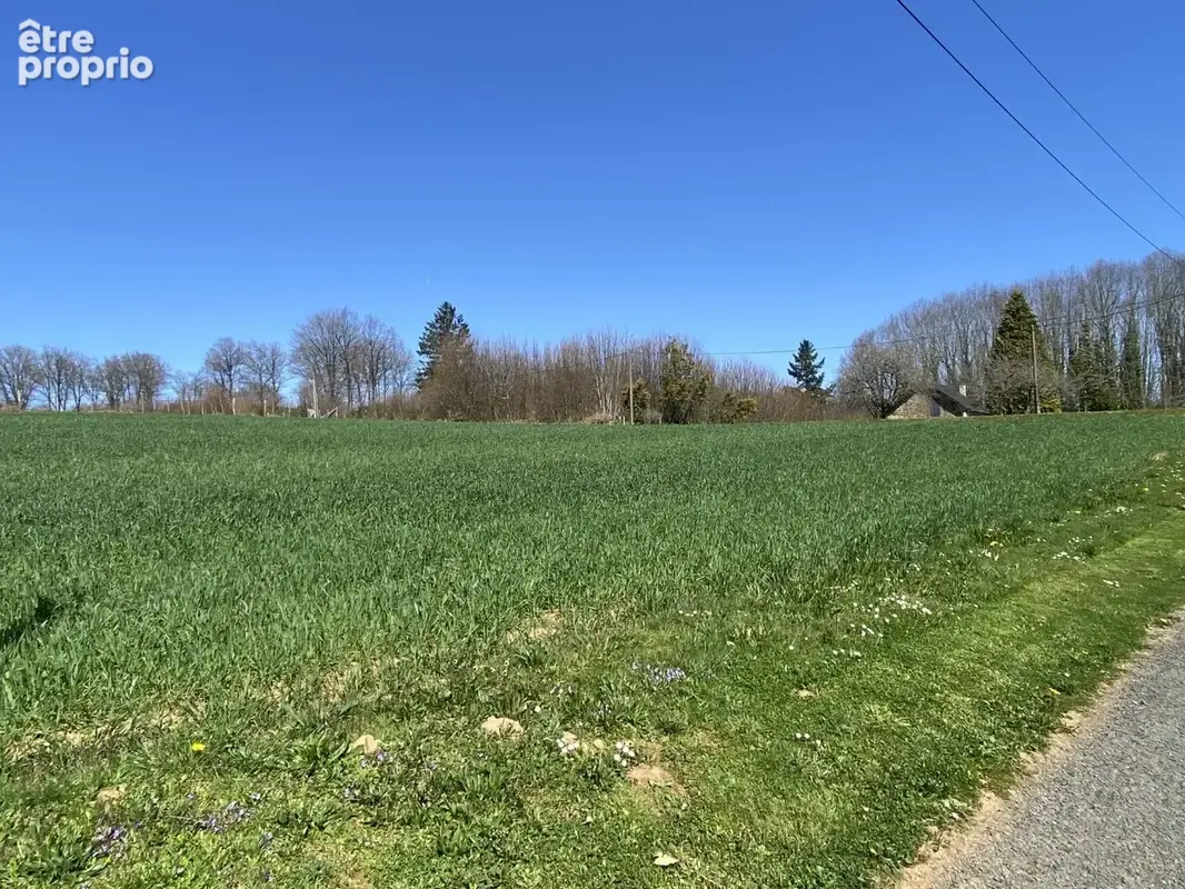 Parcelle a batir proche pompadour - photo 3