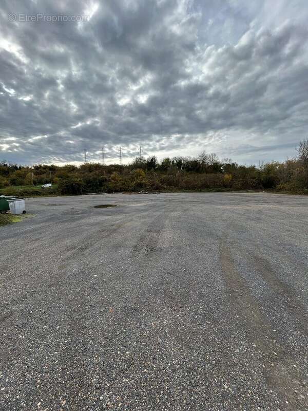 Commerce à CHAMPIGNY