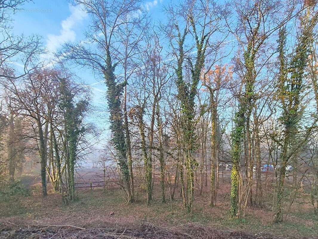 Appartement à GOUVIEUX