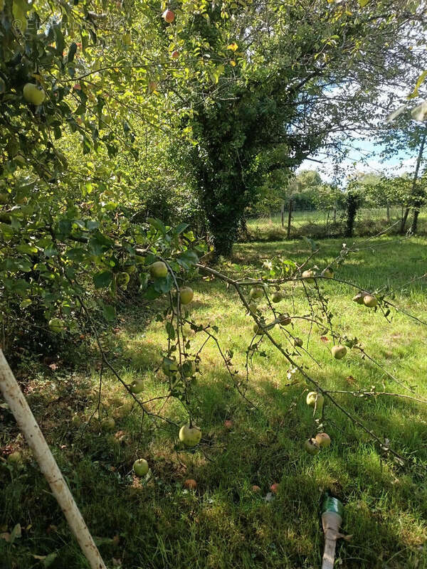Maison à LA BAZOCHE-GOUET