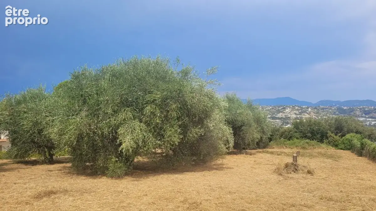Terrain à bâtir de 856 m² à SAINT-LAURENT-DU-VAR (06) - photo 4
