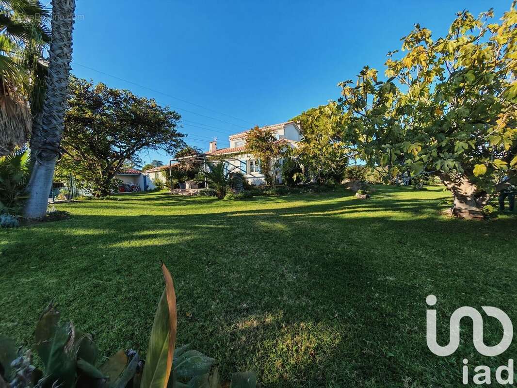 Photo 4 - Maison à PERPIGNAN