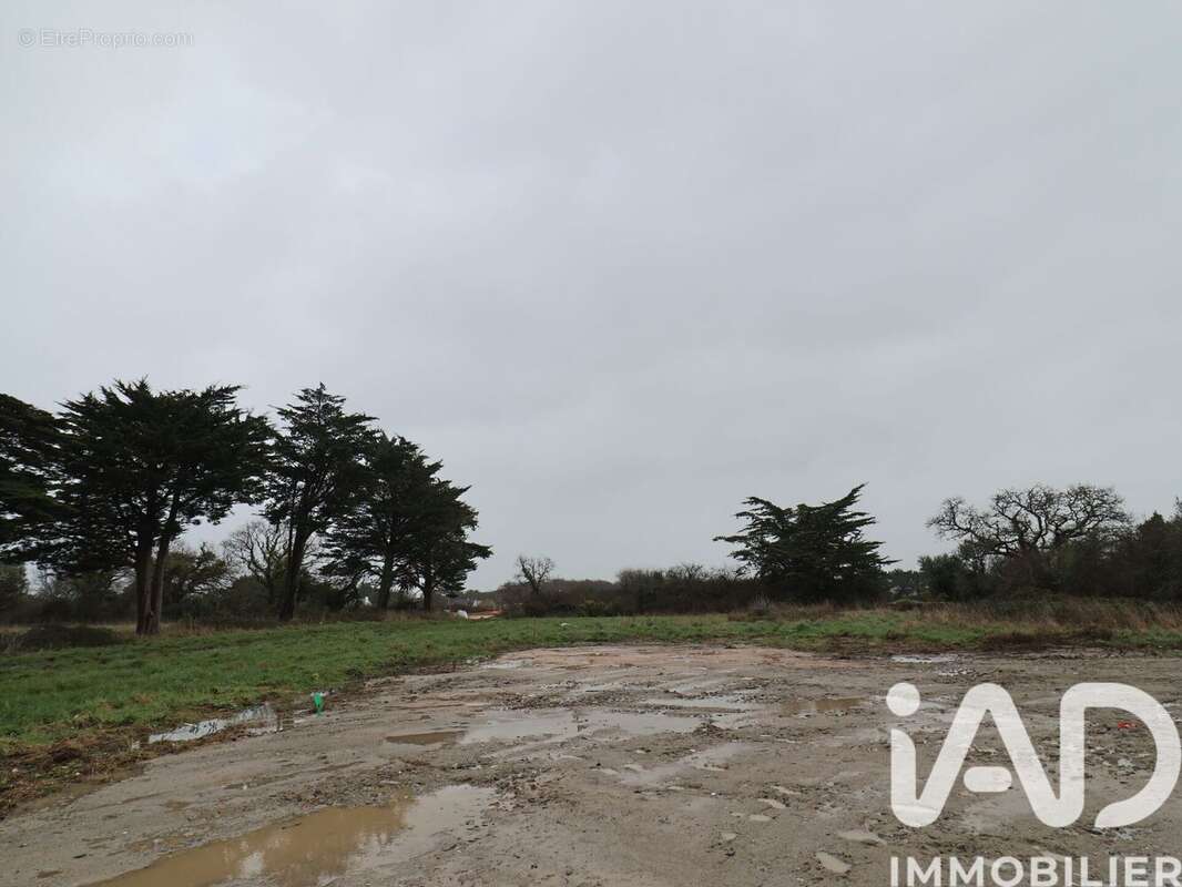 Photo 2 - Terrain à LA BAULE-ESCOUBLAC