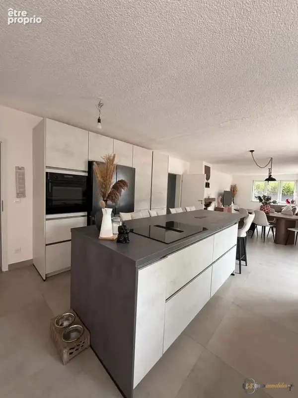 Maison 3 pièces 117 m² à vendre à Sarreguemines (57200) - photo 6