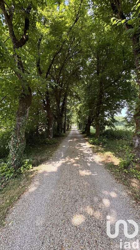 Photo 4 - Maison à ANAIS