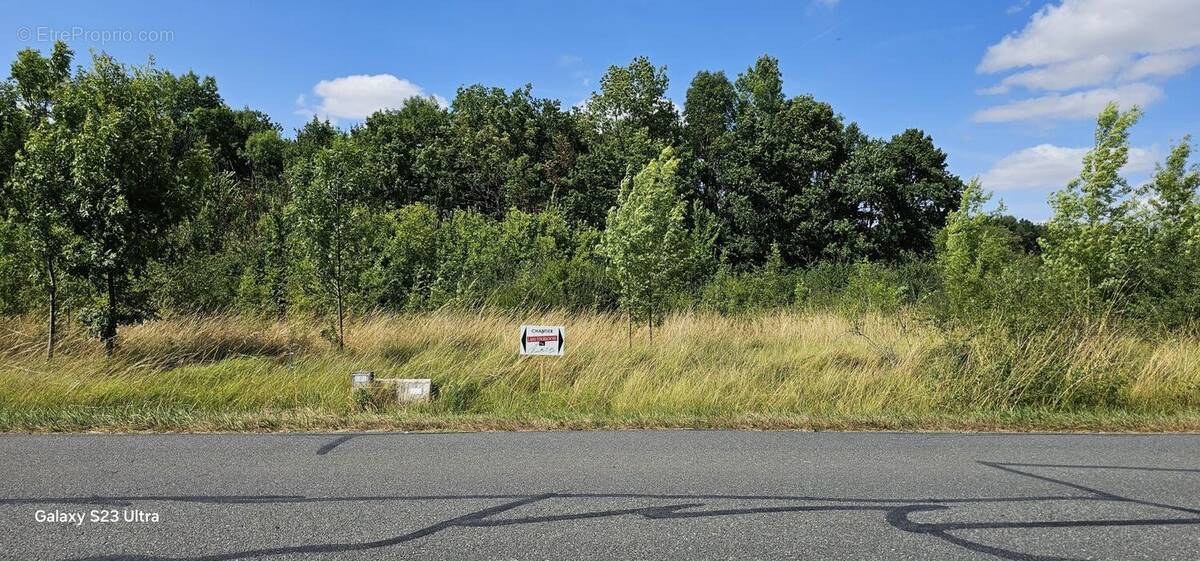 Terrain à SAINTE-SEVERE