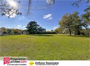 Terrain à PRUNIERS-EN-SOLOGNE