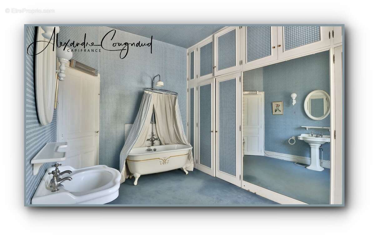 A vendre Roquecourbe (81) — Maison de maître XIXe, 500 m², 10 chambres, parc piscinable 2 271 m² — Aux portes du Sidobre - photo 10