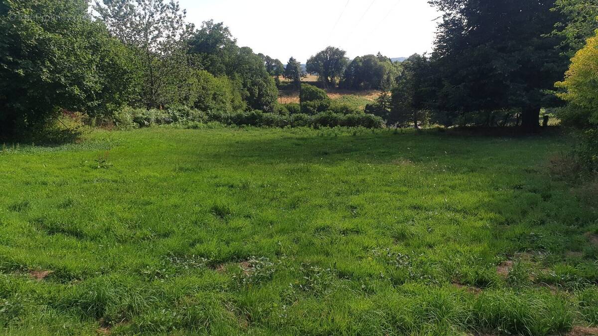 Terrain à LA CROISILLE-SUR-BRIANCE