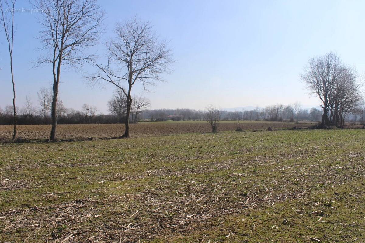 Terrain à MONTREJEAU