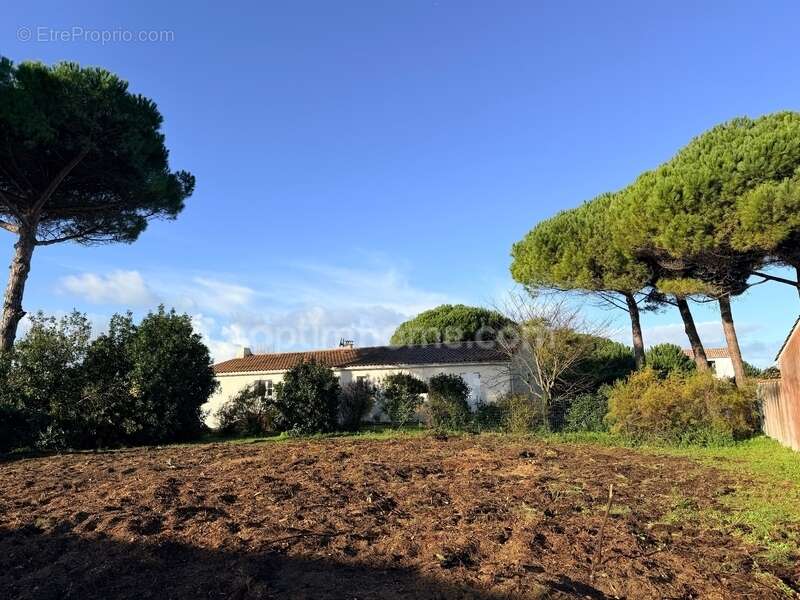 Terrain à LE BOIS-PLAGE-EN-RE