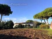 Terrain à LE BOIS-PLAGE-EN-RE