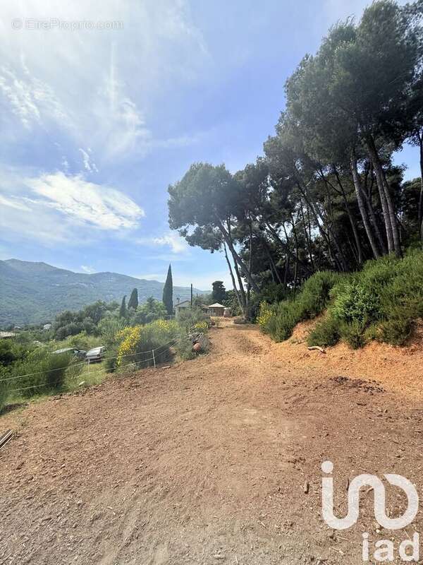 Photo 6 - Maison à SAINT-MARTIN-DU-VAR