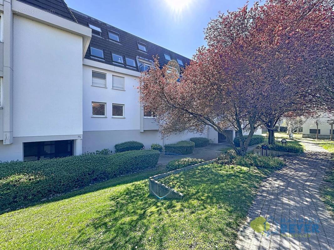 Appartement à HOENHEIM