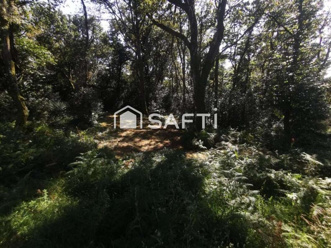 Photo 6 - Terrain à BUROS