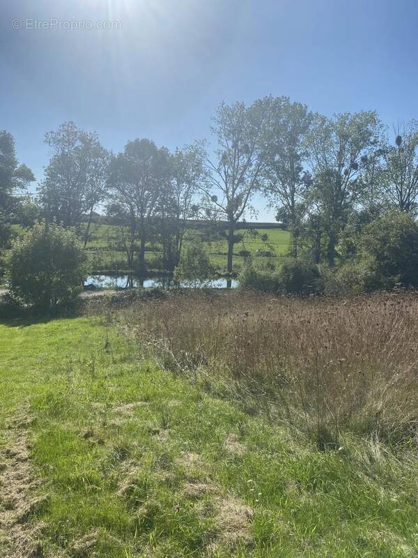 Terrain à VANDENESSE