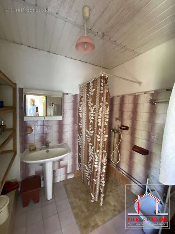 Maison à LA PLAINE-DES-PALMISTES