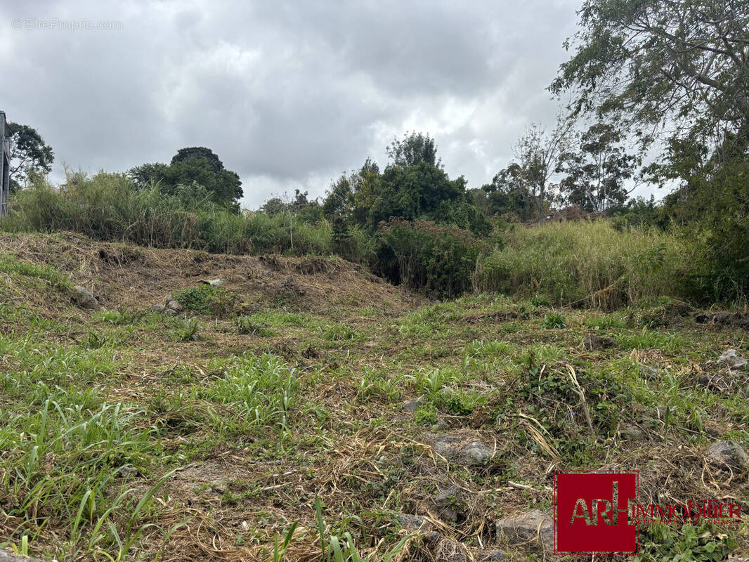 Terrain à LE TAMPON