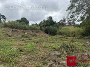 Terrain à LE TAMPON