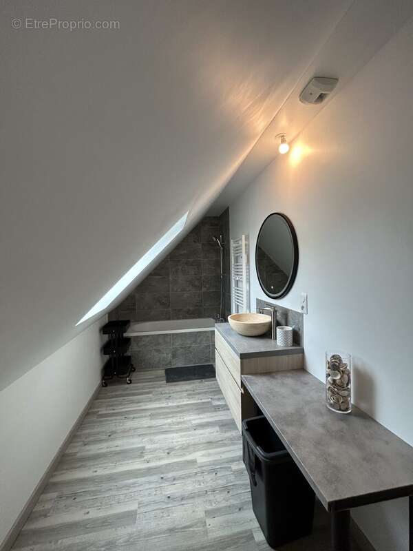 Maison à LA CHAPELLE-SAINT-MESMIN