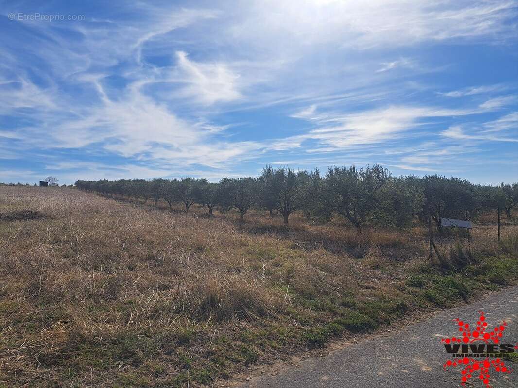 Terrain à CAPESTANG
