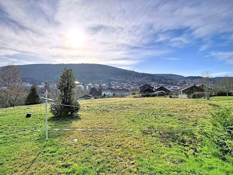 Gérardmer ville grande Ferme Vosgienne sur plus d'un hectare - photo 6