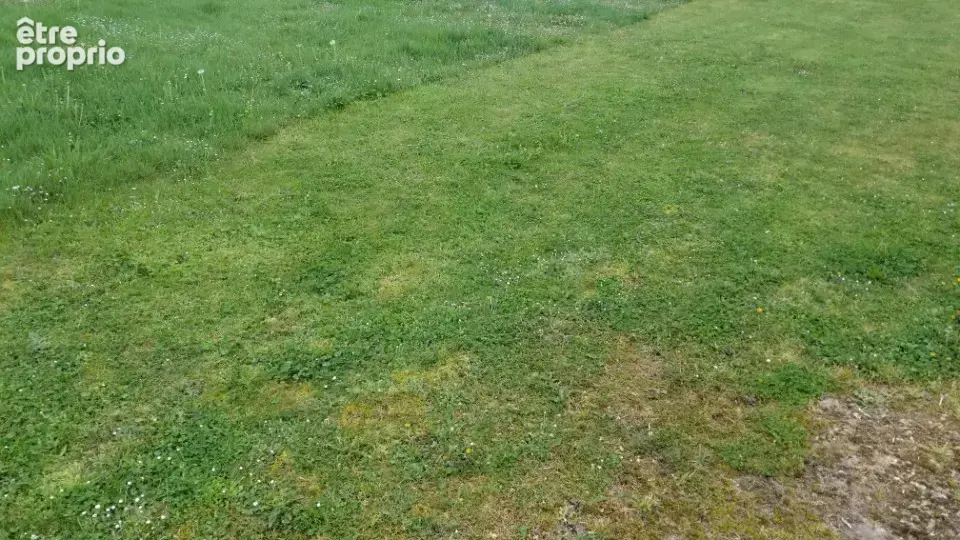 Terrain à LA SAUVE