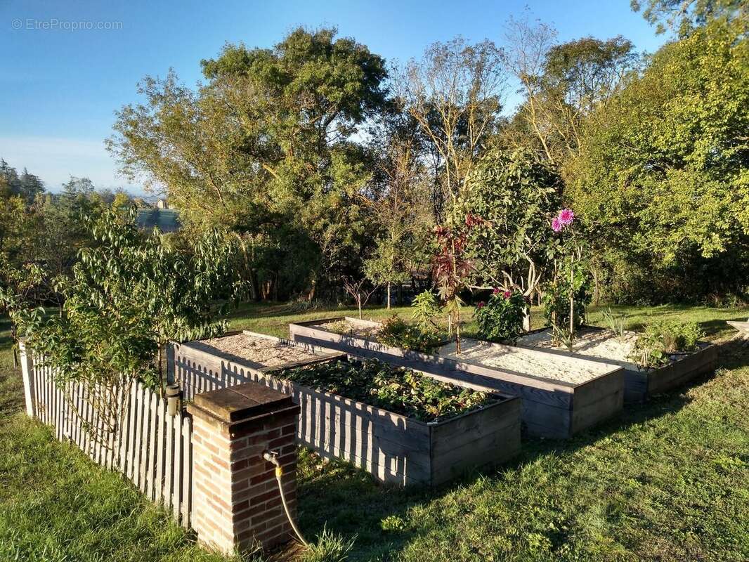 Maison à L'ISLE-JOURDAIN