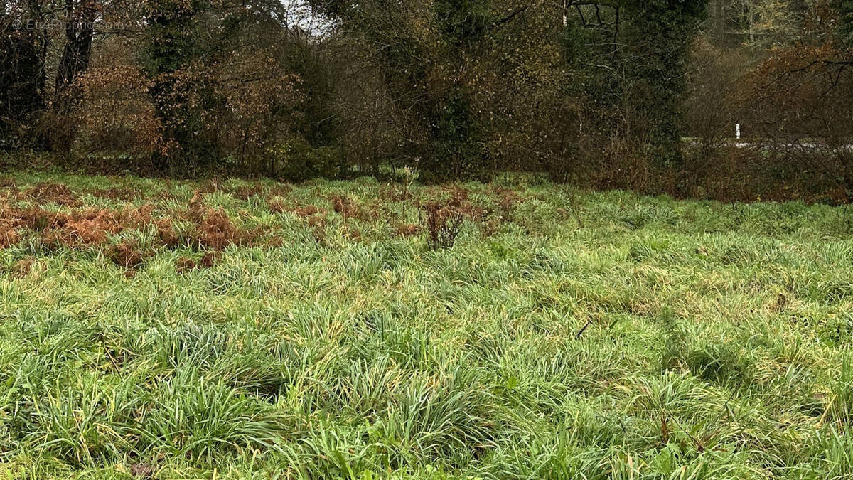 Terrain à PERSQUEN