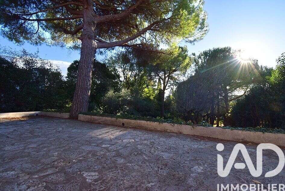 Photo 6 - Maison à MONTPELLIER