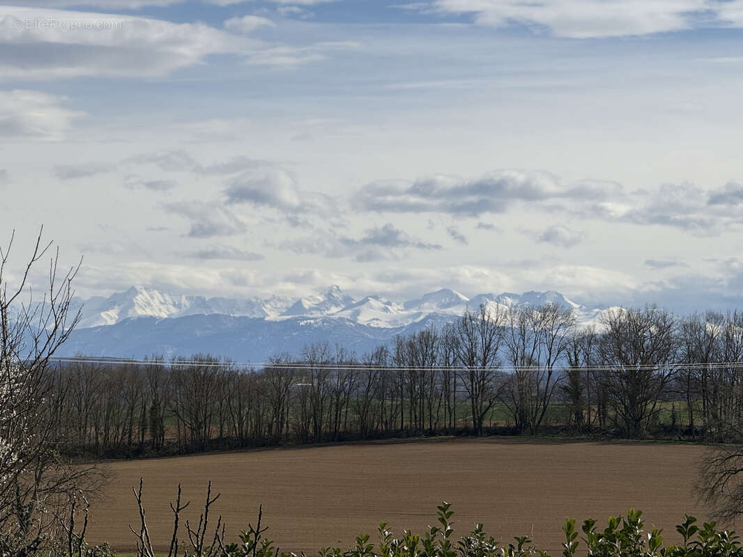 Maison à L&#039;ISLE-EN-DODON