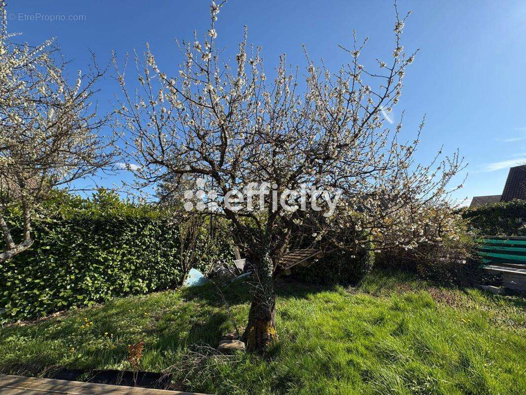 Maison à VEIGY-FONCENEX