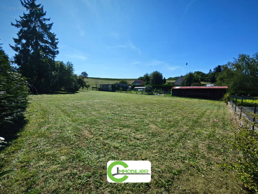Terrain à DOLLON