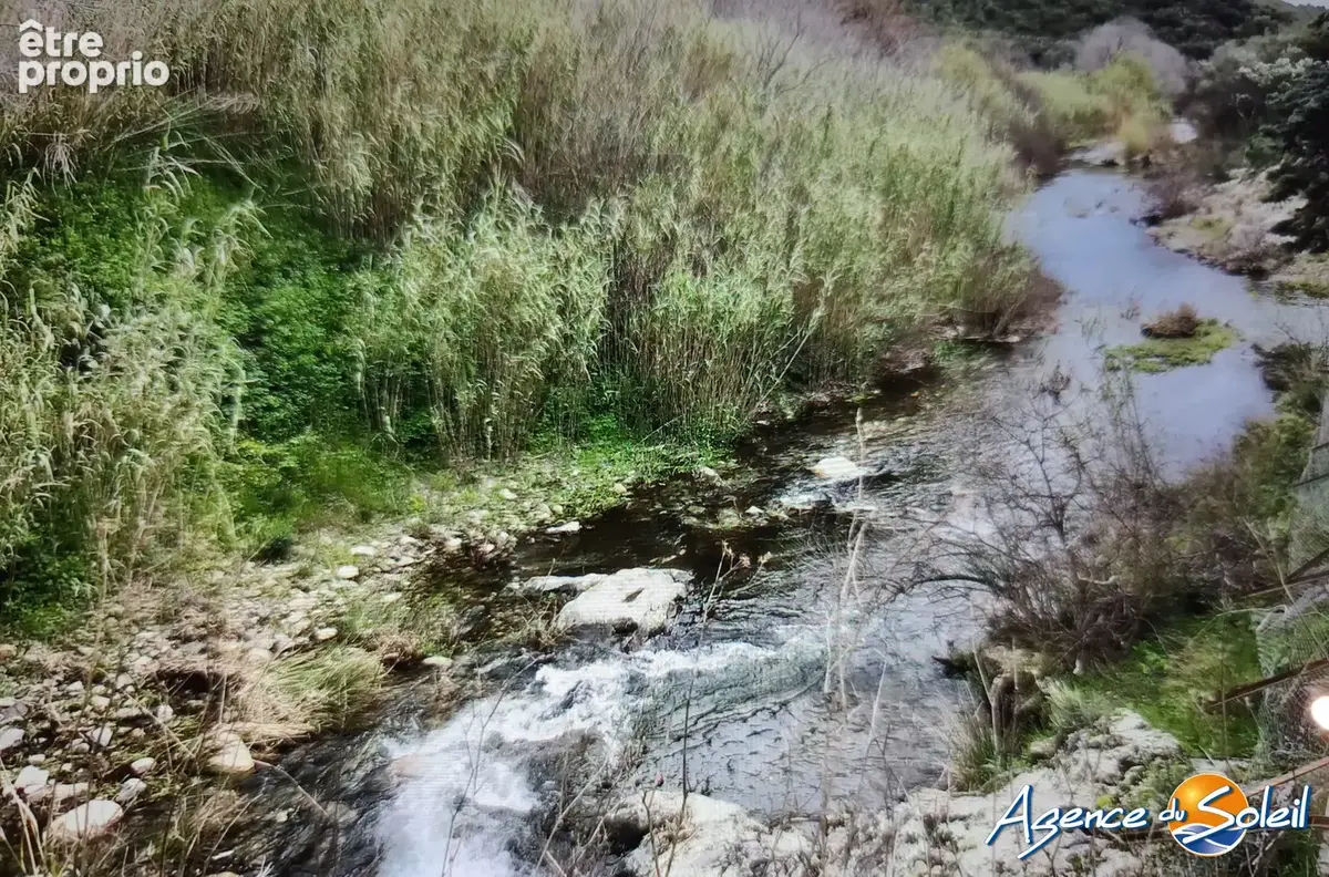 Terrain 4 000 m² à vendre à Banyuls-Sur-Mer (66650) - photo 3