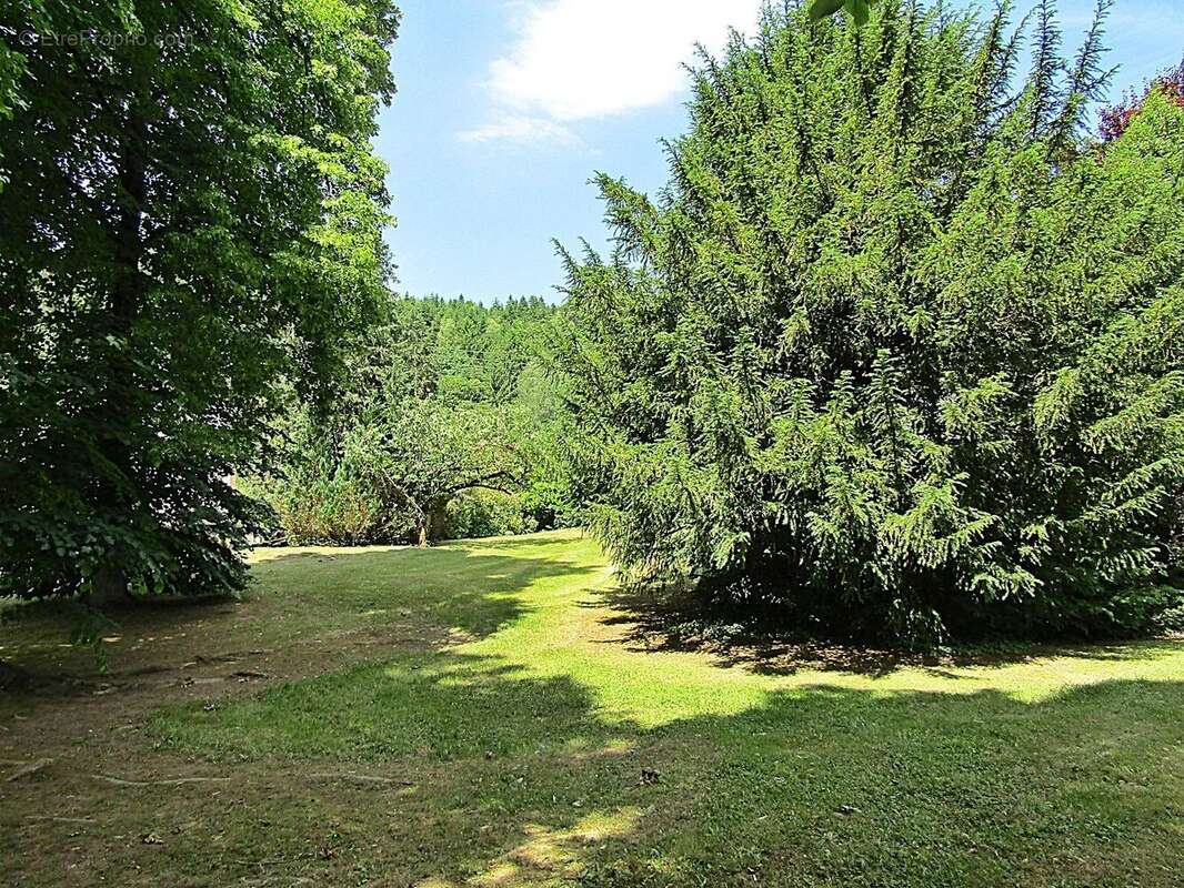 Vente Maison Raon-l'etape(88110) 420 000ï¿œ - photo 2