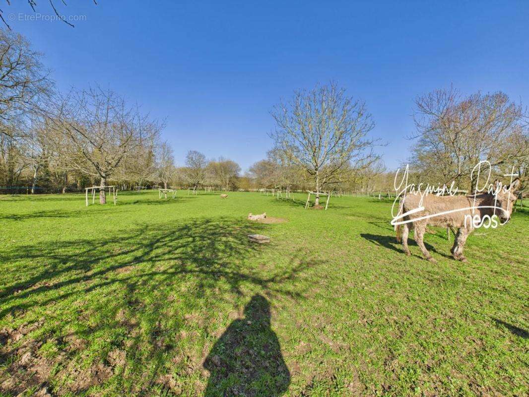 Maison à SAINT-MARTIN-DE-SAINT-MAIXENT