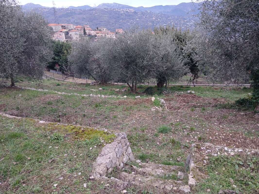 Terrain à CHATEAUNEUF-VILLEVIEILLE